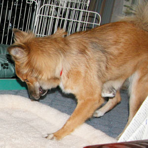 �@����Ă��ƁH