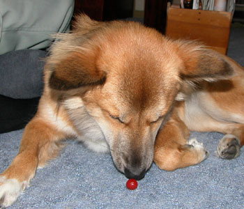 �܂��~�����������