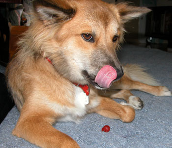 �܂����炰�Ă��܂���