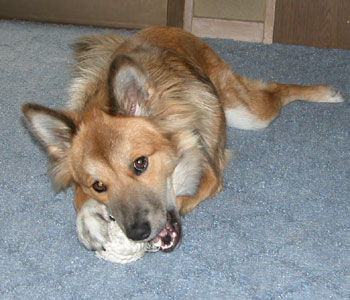 ���ӂ��ɚ���