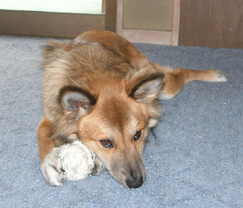 �x�e�������