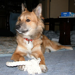 �悻�����Ă������Ȃ�