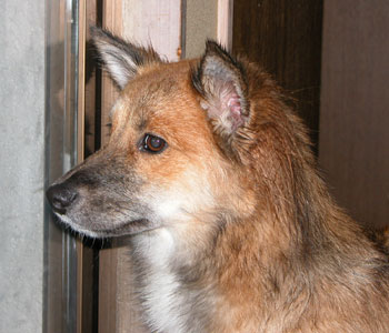 �܂��J�ŉ��ꂽ