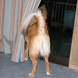 �閾�����x��