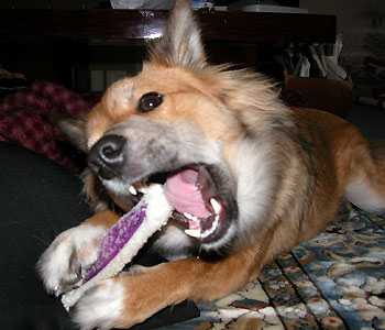 �����K��