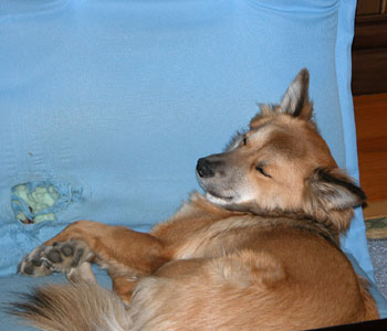 �������Ȃ�������