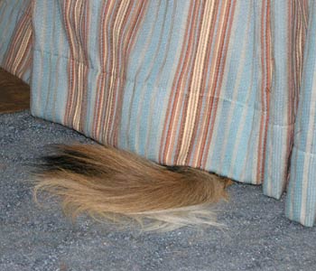 �O���C�ɂȂ�