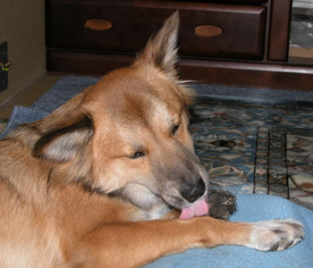 �����Ŏ���