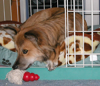 ���Q�ɑދ����Ă���