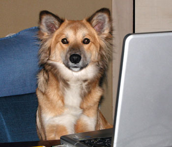 �L�[�{�[�h�����̎w����Ȃ�����