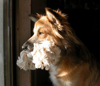 ������������