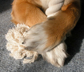 ���ꂽ���