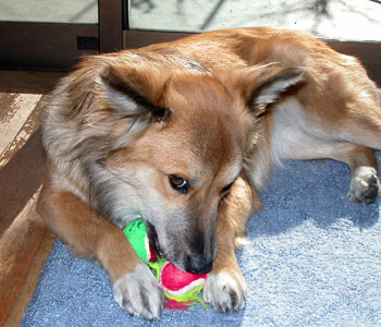 �����ꑧ�Ȃ񂾂���