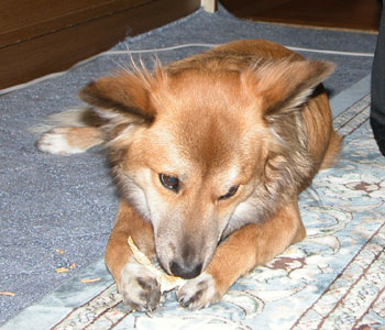 �卪�͊����Ă�������