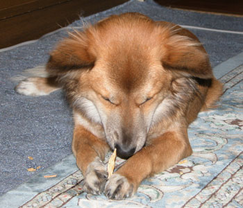 ���������������Ă܂���������