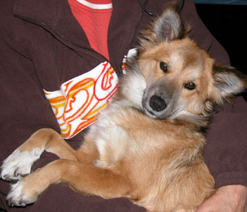 �����������Ƃ��ƂȂ���