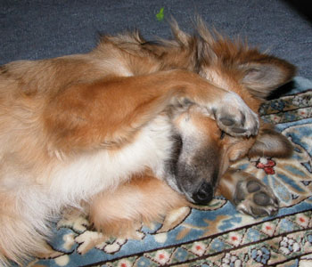 �Ȃł��Ă����ƂȂ���