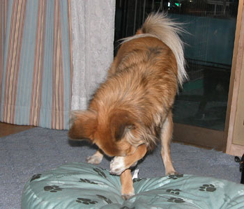 ��肷���Ėڂ��y���Ȃ���