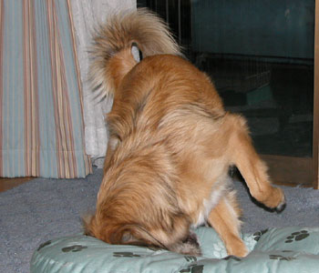 ���������}�b�g���@��