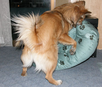 ���݂�����킯�ł͂Ȃ�