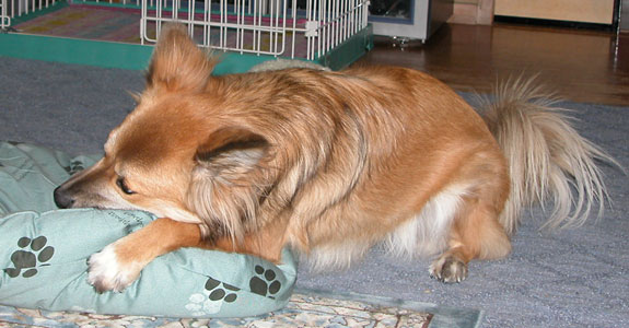 �Ō�͂���������