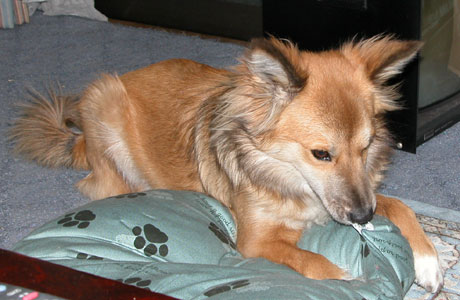 �^�O�͕K���H��������