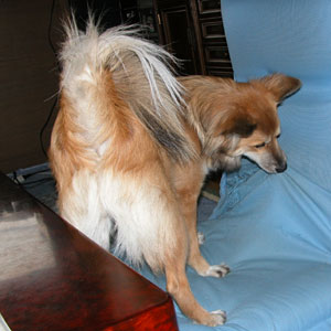 ��͂�Ō�͂�����