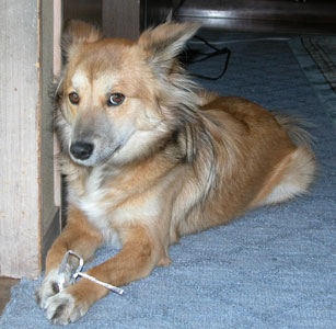 �����Ȃ����Ă�