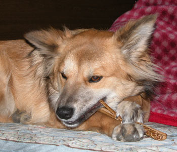 �H��̎���������Ȃ���