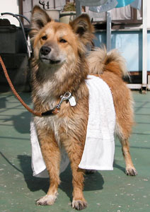 �����h�~�ɂȂ��ꂽ