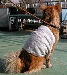 �Ђǂ��ڂɂ�����