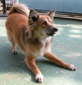 ������Ė\���