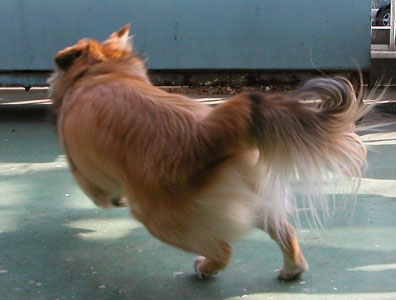 �K�E�K�E�����đ�����