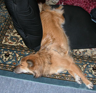 �܂��Ⴂ�̂ő̂��_�炩��