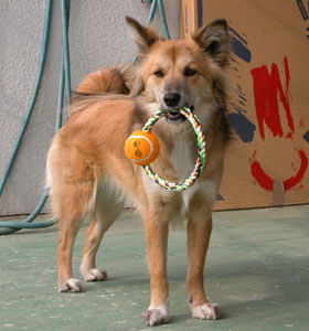 �����^�т͕֗�����