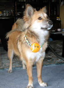 ���A���₪�点�H