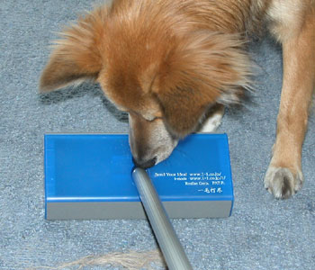 ��ёŐs�͖т�����炵��