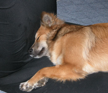 �悾������Ė�������