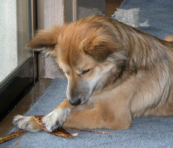 ��������Ăɂ����ċ�U�肷��