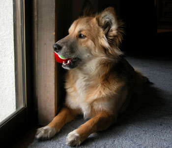 �Ȃɂ������Ă������Ȃ�