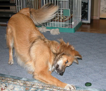 �F�B��������Ȃ�