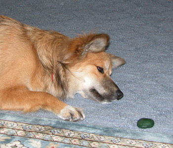 �����Ȃ��E�E�E