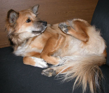 ���A�Ȃł�H