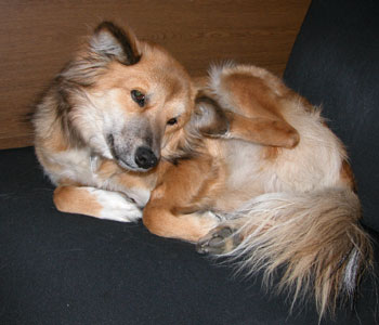 �������䂢