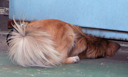 �v���Ԃ�ɂ����ɁI