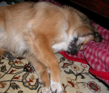 �܂��Ȃ�@�낤