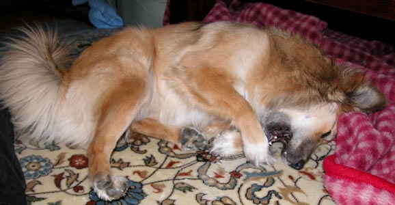 ��������������������