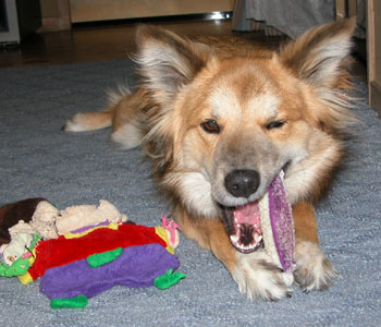 �������ۂ͍ŋ߂₹��