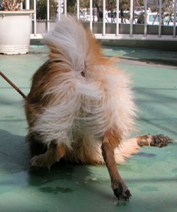 �ē��Ȃ̂Ő��ꂽ�I