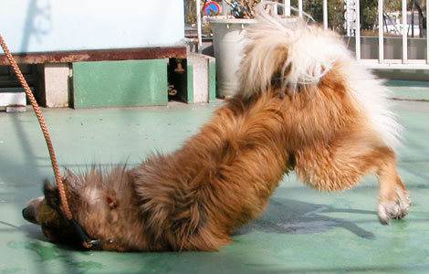 ������˂�